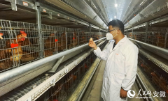 安徽向前丨六安霍邱：智创合做 集群进沪